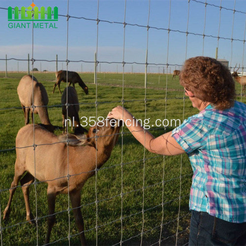 boerderij hek draad gaas vee hek veld hek